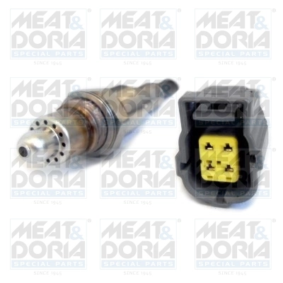 Oxygen Sensor